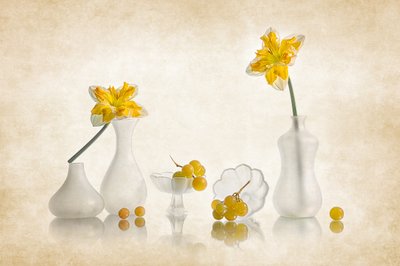 Gelbe Narzissen und Trauben von Lydia Jacobs