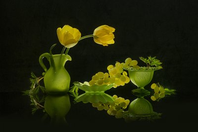 Gelbe Tulpen Grüne Trauben von Lydia Jacobs