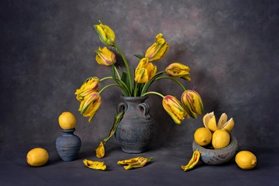 Gelbe Tulpen und Zitronen von Lydia Jacobs