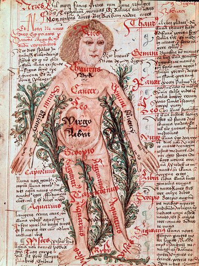 Medizin: Einfluss des Tierkreises auf menschliche Krankheiten (Miniatur) von M Albik
