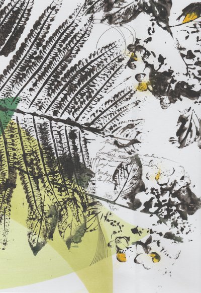 Botanische Schriftebenen von Maira Ribena