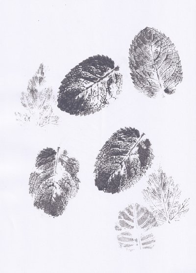Minzblatt-Abdrücke von Maira Ribena