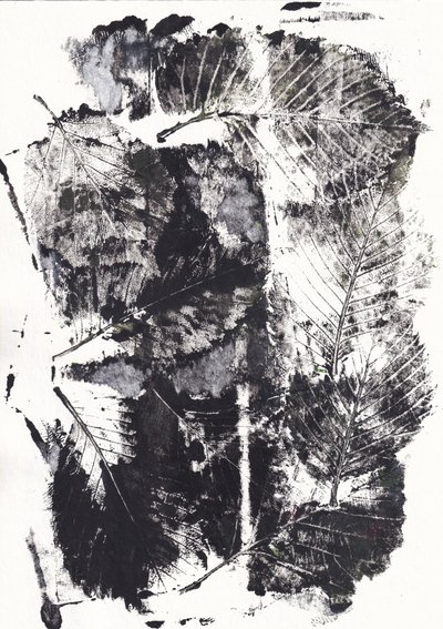 Monochrome Botanische Impressionen von Maira Ribena