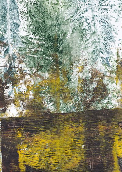 Strukturierter Waldboden von Maira Ribena