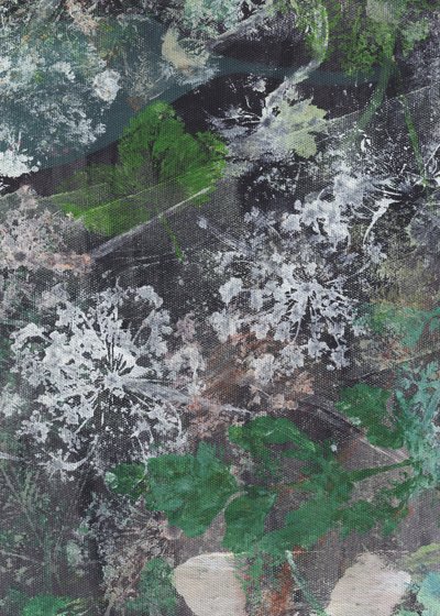  von Maira Ribena