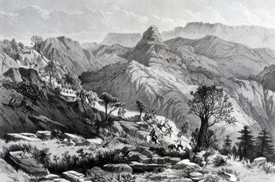 Auf dem Marsch bei Dongolo, graviert von James Ferguson, 1868 von Major A.G.F. Hogg