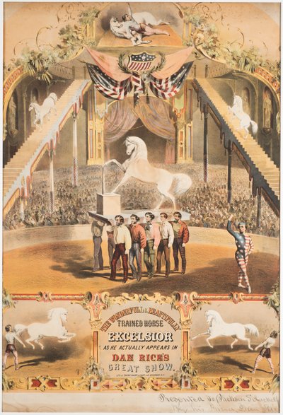 Das wunderbare und schön trainierte Pferd Excelsior, um 1840 von Major and Knapp Sarony