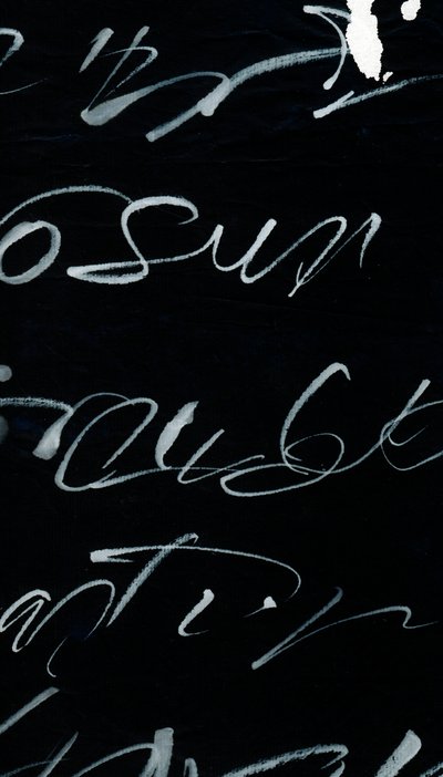 Tagebuch eines Verrückten von Marco Campedelli