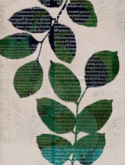Blätter, 2024 von Marco Campedelli
