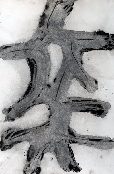 Ramas, 2014 von Marco Campedelli