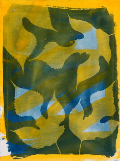 Wind von Marco Campedelli