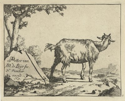 Stehende Ziege von hinten gesehen von Marcus de Bye