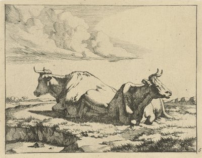 Zwei liegende Kühe von Marcus de Bye