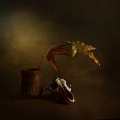 Dunkles Herbst Stillleben von Margaret Halaby