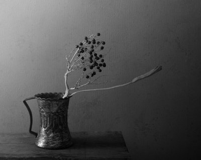 Dunkle Beeren Stillleben von Margaret Halaby