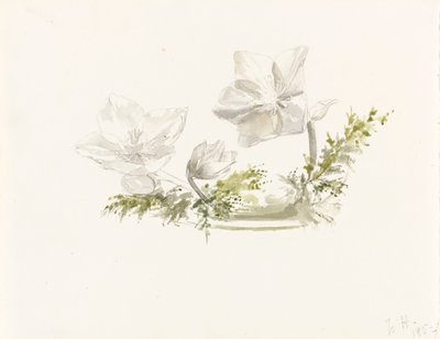 Studie eines Blumenarrangements von Margaret Louisa Herschel