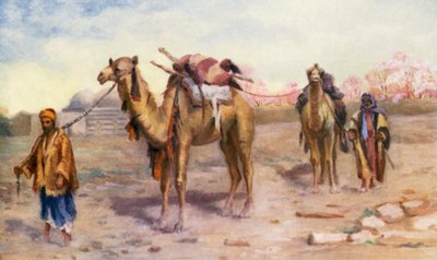 Kamele und Treiber vor Damaskus von Margaret Thomas