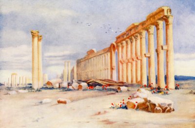 Kolonnade, Palmyra, mit türkischer Burg in der Ferne von Margaret Thomas