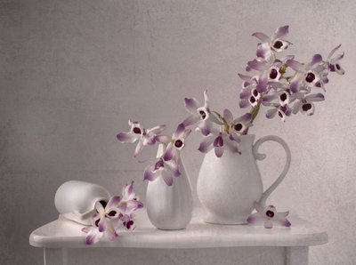 Zartes Orchideen Stillleben von Margareth Perfoncio