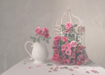 Rosen und Vogelkäfig von Margareth Perfoncio