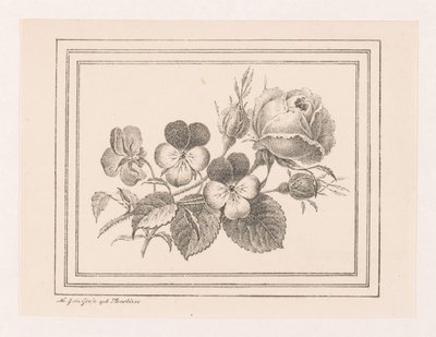 Roos en viooltjes von Maria Geertruida de Goeje Barbiers