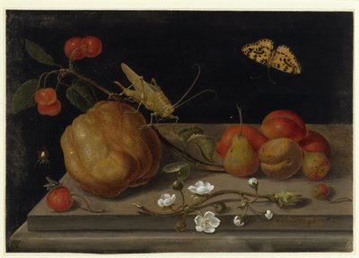  von Maria Sibylla Merian