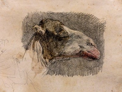Kamelkopf, um 1865 von Mariano Fortuny