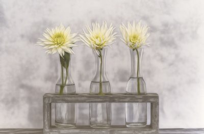 Dahlien In Glasvasen von Marie-anne Stas