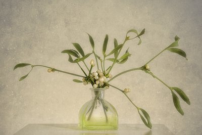 Mistelbeeren in Vase von Marie-anne Stas