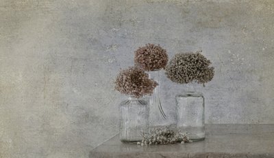 Rustikales getrocknetes Blumenstillleben von Marie-anne Stas