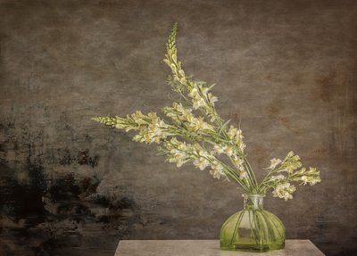 Rustikales Blumenstillleben von Marie-anne Stas