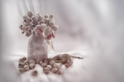 Weiches Beerenstillleben von Marie-anne Stas