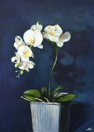 Elegante Weiße Orchideen von Marina Kozyr