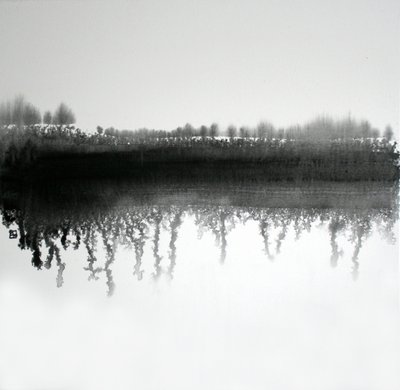 Monochrome Waldreflexion von Marina Nelson