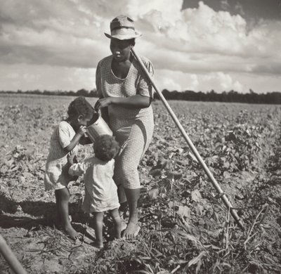 Schwarze Frau gibt ihren Kindern ein Getränk auf dem Feld, wo sie Baumwolle auf einem FSA-Kooperationsprojekt hackt (Allen Plantation) von Marion Post Wolcott