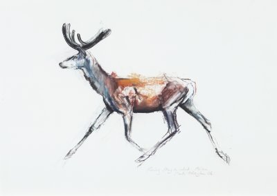 Laufender Hirsch im Samt, Polsen, 2006 von Mark Adlington