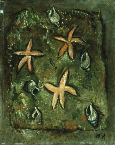 Seesterne und Muscheln von Marsden Hartley