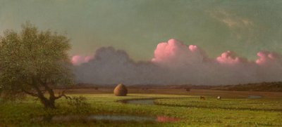 Sonnenlicht und Schatten: Die Newbury-Marschen, um 1871-1875 von Martin Johnson Heade