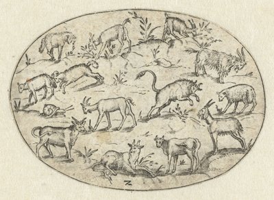 Oval mit dreizehn Ziegen von Martin Pleginck
