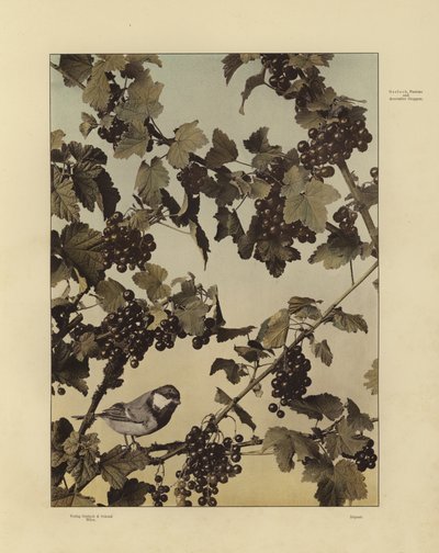 Eines von Martin Gerlachs Festons und Dekorative Gruppen von Martin senior Gerlach