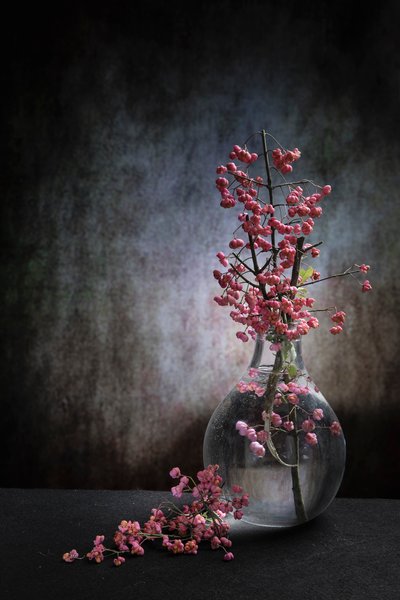 Rosa Beeren-Stillleben von Martine Benezech