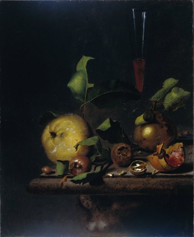Stillleben mit Quitten, Mispeln und einem Glas von Martinus Nellius
