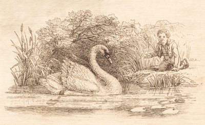 Illustration zu "Halvhundrede Fabler for Børn" von Hey von Martinus Rørbye