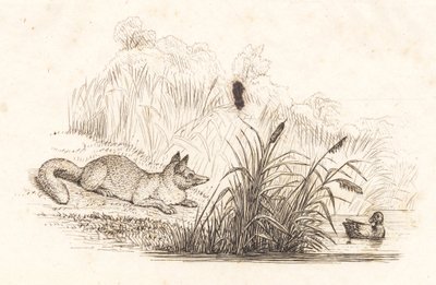 Illustration zu "Halvhundrede Fabler for Børn" von Hey von Martinus Rørbye