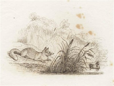 Illustration zu "Fünfzig Fabeln für Kinder" von Hey von Martinus Rørbye