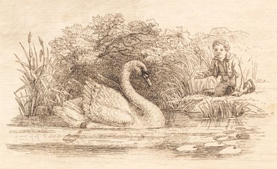 Illustration zu "Halvhundrede Fabler for Børn" von Hey von Martinus Rørbye