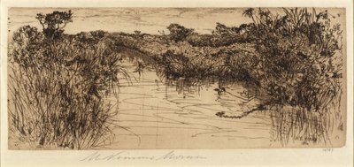Wiesenland von Mary Nimmo Moran