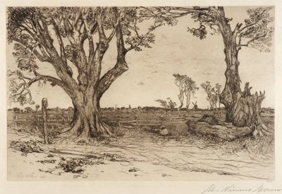 Alte Linden - In der Nähe von Easthampton von Mary Nimmo Moran
