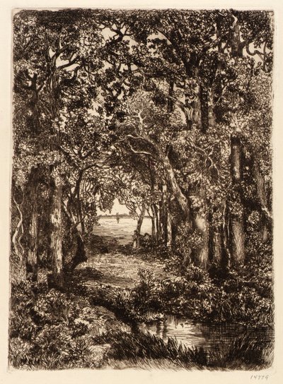 Das Meer durch den Wald von Mary Nimmo Moran