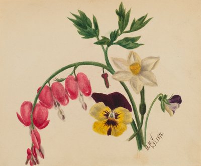 (Ohne Titel--Gemischte Blumen) von Mary Vaux Walcott